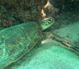 宮古島 ADVENTURE PiPi（ミヤコジマ アドベンチャー ピピ）に投稿された画像（2025/9/16）