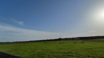 ノーザンホースパークに投稿された画像（2025/9/16）