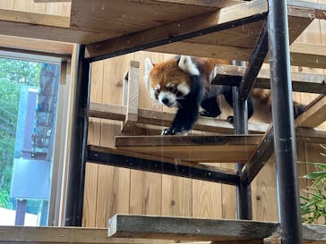 名古屋市東山動植物園に投稿された画像（2025/9/16）