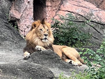 名古屋市東山動植物園に投稿された画像（2025/9/16）
