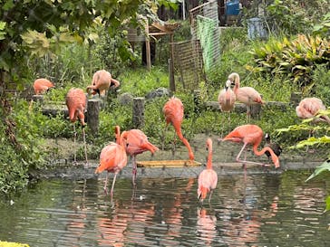 名古屋市東山動植物園に投稿された画像（2025/9/16）