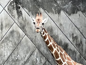 名古屋市東山動植物園に投稿された画像（2025/9/16）