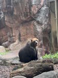 恩賜上野動物園に投稿された画像（2025/9/16）