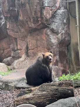 恩賜上野動物園に投稿された画像（2025/9/16）