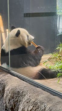 恩賜上野動物園に投稿された画像（2025/9/16）