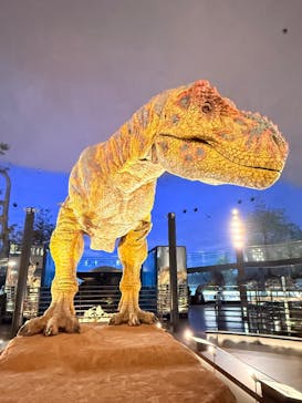 福井県立恐竜博物館に投稿された画像（2025/9/16）