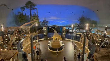 福井県立恐竜博物館に投稿された画像（2025/9/16）