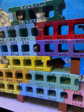 竹島水族館に投稿された画像（2025/9/16）