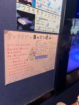 竹島水族館に投稿された画像（2025/9/16）