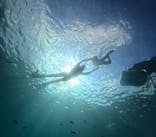 沖縄ゴリダイブに投稿された画像（2025/9/17）