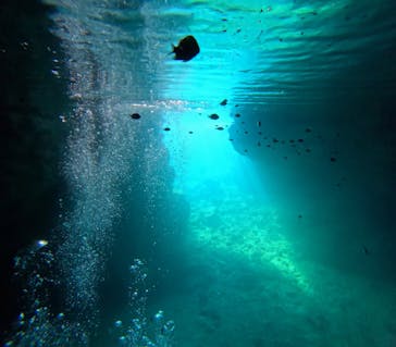 沖縄ゴリダイブに投稿された画像（2025/9/16）