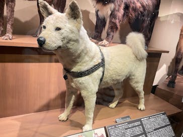 国立科学博物館に投稿された画像（2025/9/16）