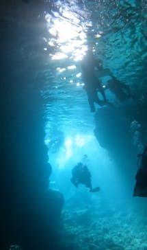 武藤潜水に投稿された画像（2025/9/17）