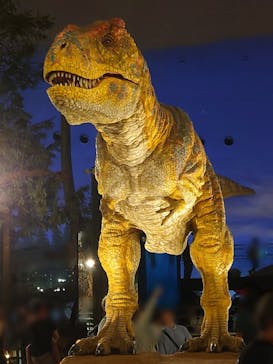 福井県立恐竜博物館に投稿された画像（2025/9/17）