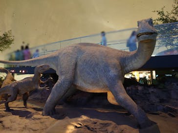 福井県立恐竜博物館に投稿された画像（2025/9/17）