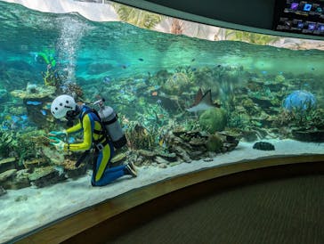 名古屋港水族館に投稿された画像（2025/9/17）