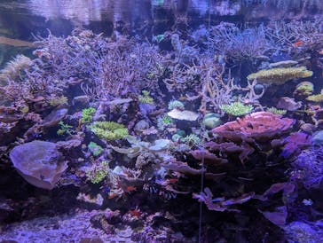 名古屋港水族館に投稿された画像（2025/9/17）