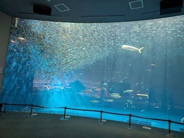 名古屋港水族館に投稿された画像（2025/9/17）