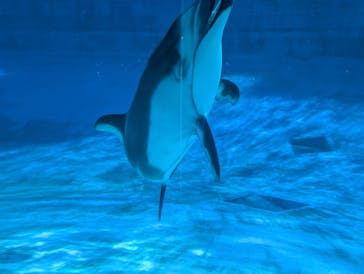 名古屋港水族館に投稿された画像（2025/9/17）