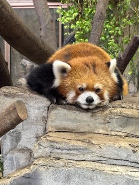 那須どうぶつ王国に投稿された画像（2025/9/17）