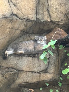 那須どうぶつ王国に投稿された画像（2025/9/17）