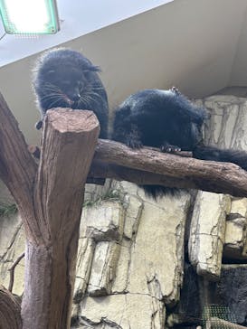 那須どうぶつ王国に投稿された画像（2025/9/17）