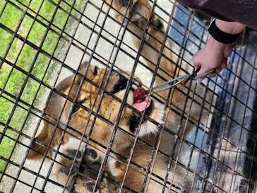 那須サファリパークに投稿された画像（2025/9/17）