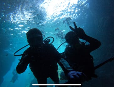 武藤潜水に投稿された画像（2025/9/17）