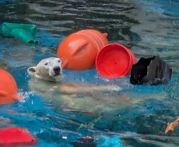 天王寺動物園に投稿された画像（2025/9/17）