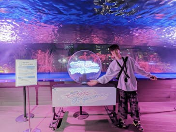 サンシャイン水族館に投稿された画像（2025/9/17）