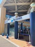 新江ノ島水族館に投稿された画像（2025/9/17）