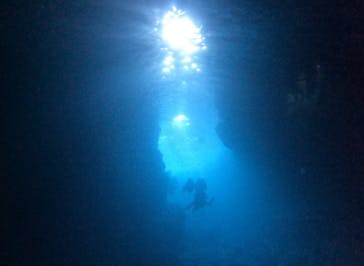 武藤潜水に投稿された画像（2025/9/17）