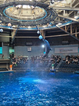 マクセル アクアパーク品川に投稿された画像（2025/9/17）