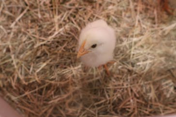 アニタッチららぽーと名古屋みなとアクルスに投稿された画像（2025/9/17）