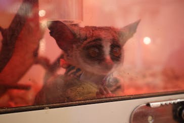 アニタッチららぽーと名古屋みなとアクルスに投稿された画像（2025/9/17）