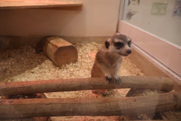 アニタッチららぽーと名古屋みなとアクルスに投稿された画像（2025/9/17）