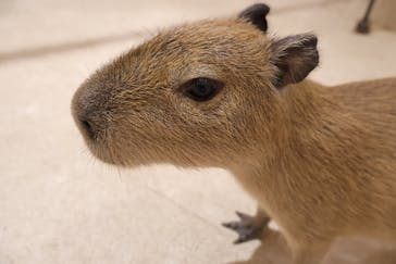 アニタッチららぽーと名古屋みなとアクルスに投稿された画像（2025/9/17）