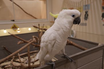 アニタッチららぽーと名古屋みなとアクルスに投稿された画像（2025/9/17）