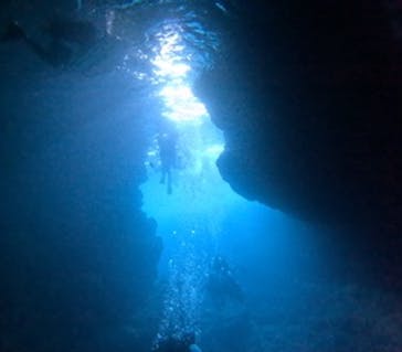 沖縄マリンサービス碧に投稿された画像（2025/9/17）