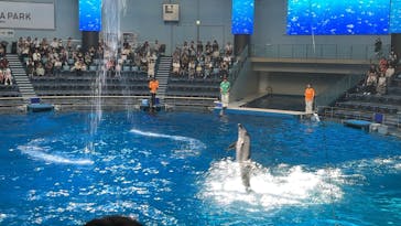 マクセル アクアパーク品川に投稿された画像（2025/9/17）