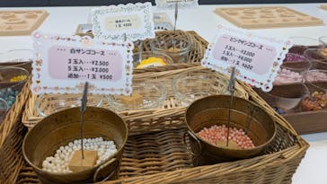 日本サンゴセンター宝石珊瑚資料館「35の杜」に投稿された画像（2025/9/17）