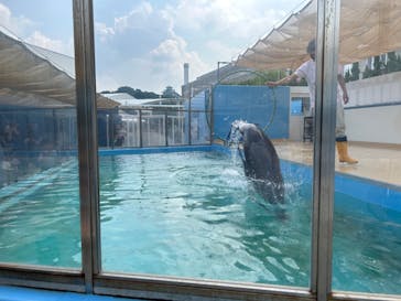 竹島水族館に投稿された画像（2025/9/17）