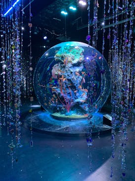 AQUARIUM × ART　atoaに投稿された画像（2025/9/17）