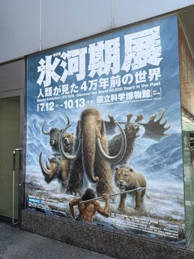 特別展「氷河期展 〜人類が見た4万年前の世界〜」（国立科学博物館）に投稿された画像（2025/9/17）