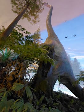 福井県立恐竜博物館に投稿された画像（2025/9/17）