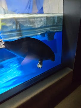 サンシャイン水族館に投稿された画像（2025/9/17）