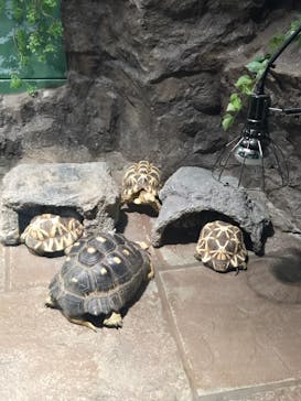 サンシャイン水族館に投稿された画像（2025/9/17）