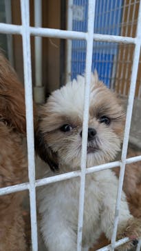 つくばわんわんランドに投稿された画像（2025/9/17）