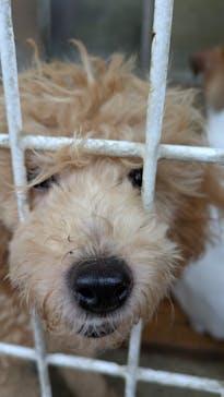 つくばわんわんランドに投稿された画像（2025/9/17）