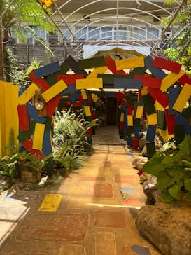 OKINAWAフルーツらんどに投稿された画像（2025/9/17）